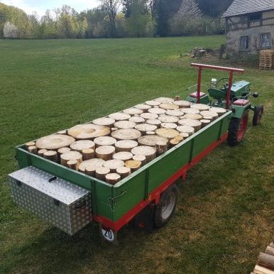 Transportkiste individuell