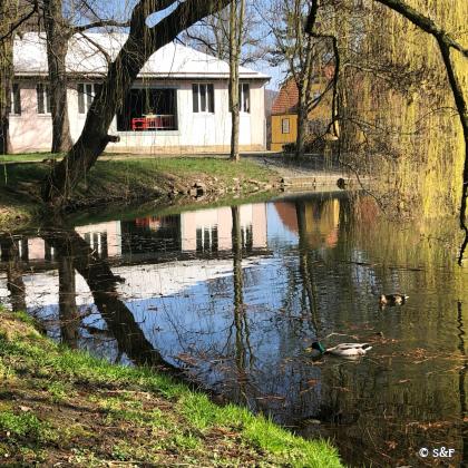 Blech_Dresden_Frühling